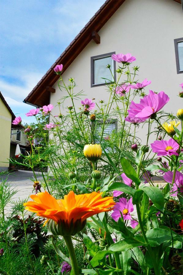 Haus Rosy Ferienwohnung Щубенберг Екстериор снимка